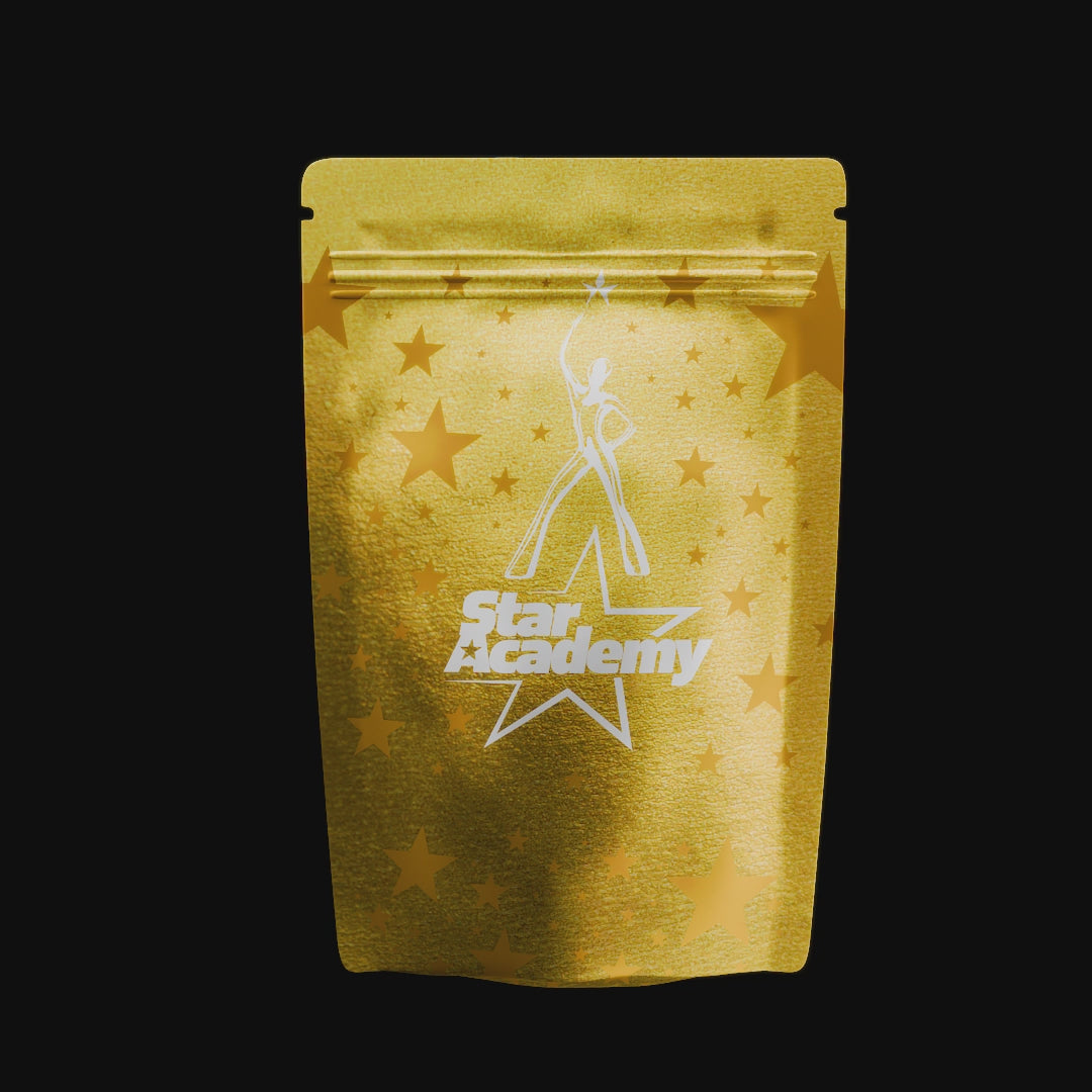 Voulez-Vous Star Academy Album Promo 2025 CD Pack Collector Figurine Starman Yearbook Tournée Superpack Major de promo